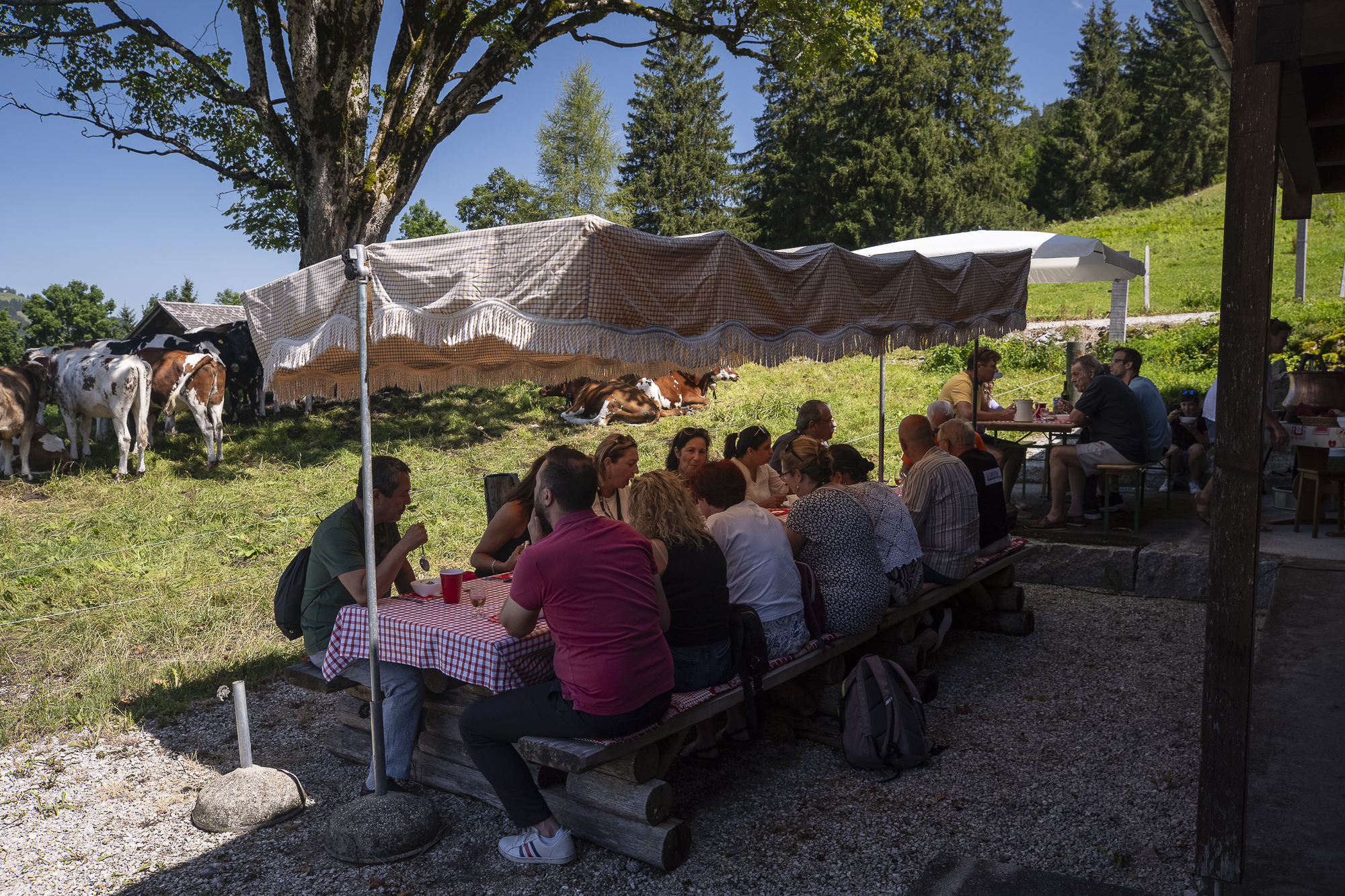 240815_diner_habitant_AA_4